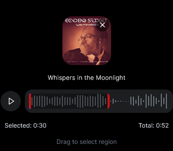 waveform selection similar singing.png